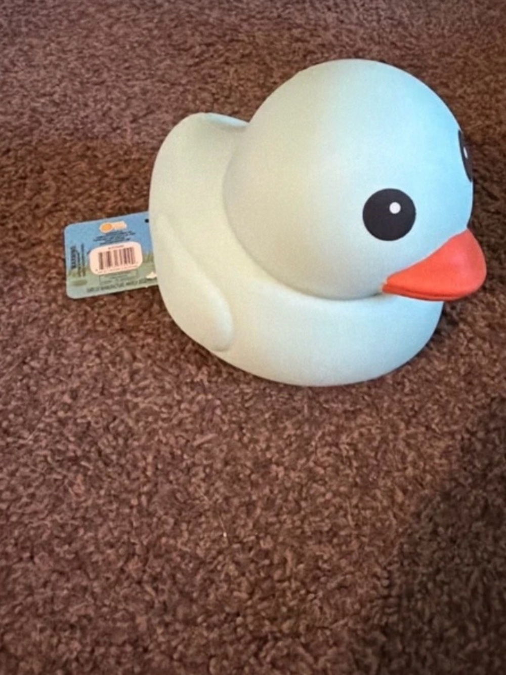 Squishy Duck